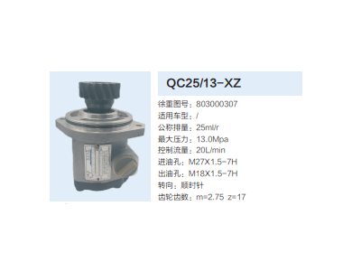 803000307,轉(zhuǎn)向助力泵,濟南泉達(dá)汽配有限公司