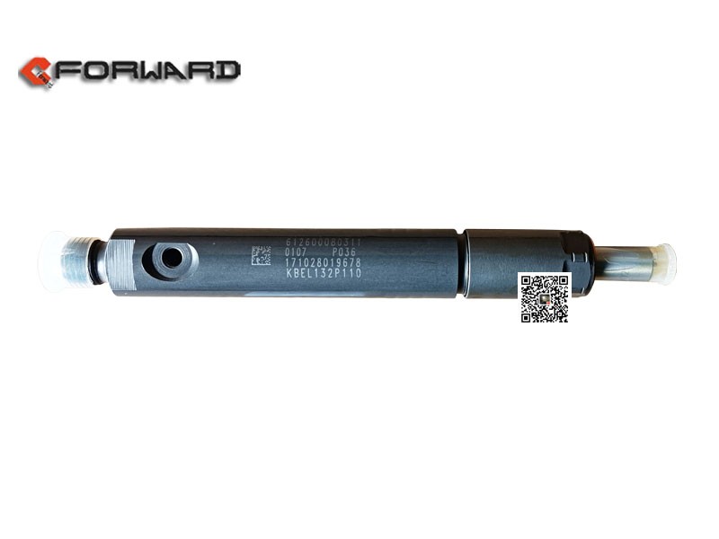612600080311,Fuel injector,濟(jì)南向前汽車配件有限公司