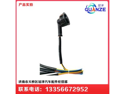 ,陜汽德龍F(tuán)3000老款里程表傳感器線束插頭,濟(jì)南冠澤卡車配件營銷中心