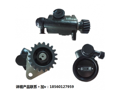 ,轉(zhuǎn)向助力泵方向機(jī)助力泵,濟(jì)南匯達(dá)汽配銷售中心