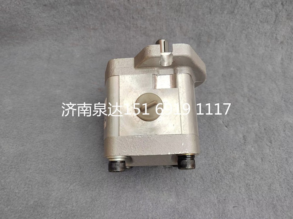 CBW-F311-AL3P,轉(zhuǎn)向助力泵,濟(jì)南泉達(dá)汽配有限公司