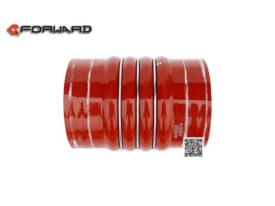 DZ93259535312,Inner fluorine outer silicone tube,濟(jì)南向前汽車配件有限公司