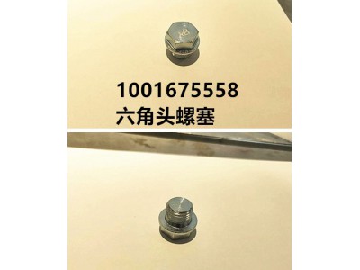 六角頭螺塞1001675558
