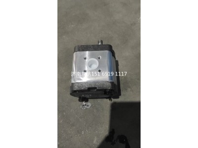 0510615333,轉(zhuǎn)向助力泵,濟南泉達汽配有限公司