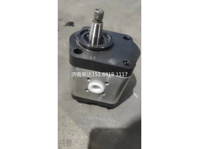 0510615333,轉(zhuǎn)向助力泵,濟南泉達汽配有限公司