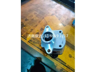 50100097442,轉(zhuǎn)向助力泵,濟(jì)南泉達(dá)汽配有限公司