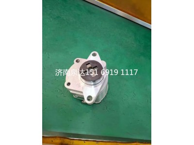 50100097442,轉(zhuǎn)向助力泵,濟(jì)南泉達(dá)汽配有限公司