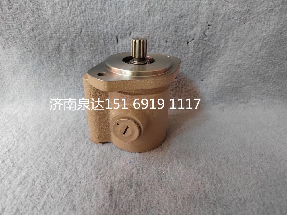 A220301000299,轉(zhuǎn)向助力泵,濟(jì)南泉達(dá)汽配有限公司