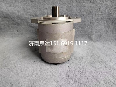 D52-000-07+B,轉(zhuǎn)向助力泵,濟(jì)南泉達(dá)汽配有限公司