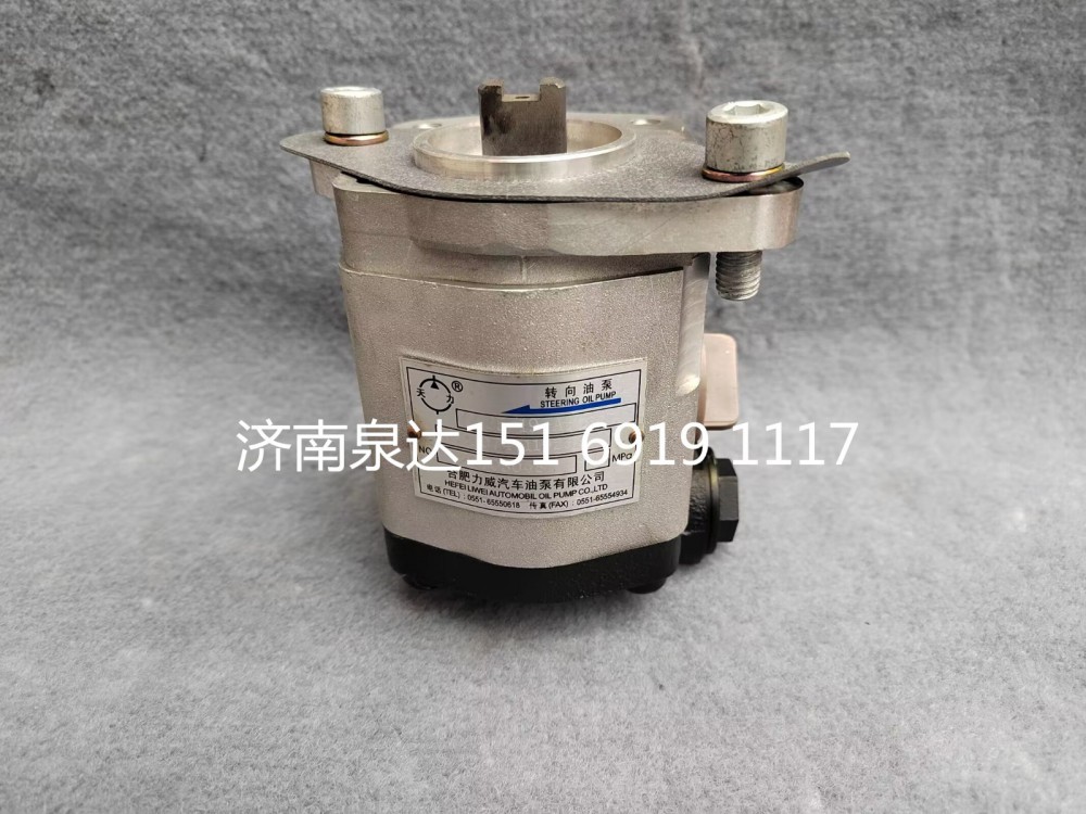 TG25074711925,轉(zhuǎn)向助力泵,濟南泉達汽配有限公司