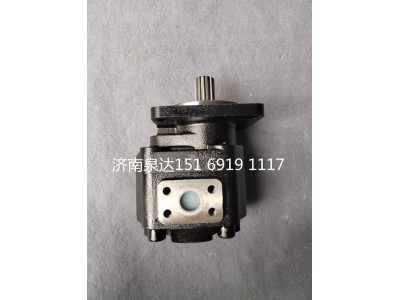 15169191117,轉(zhuǎn)向助力泵,濟(jì)南泉達(dá)汽配有限公司