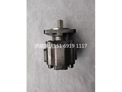15169191117,轉(zhuǎn)向助力泵,濟(jì)南泉達(dá)汽配有限公司