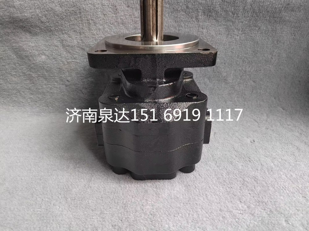 15169191117,轉(zhuǎn)向助力泵,濟(jì)南泉達(dá)汽配有限公司