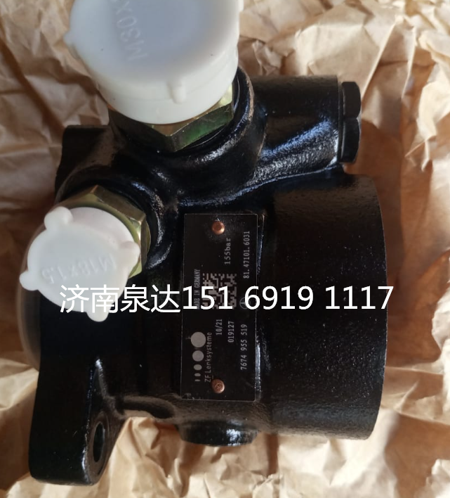 7674955519,轉(zhuǎn)向助力泵,濟南泉達汽配有限公司