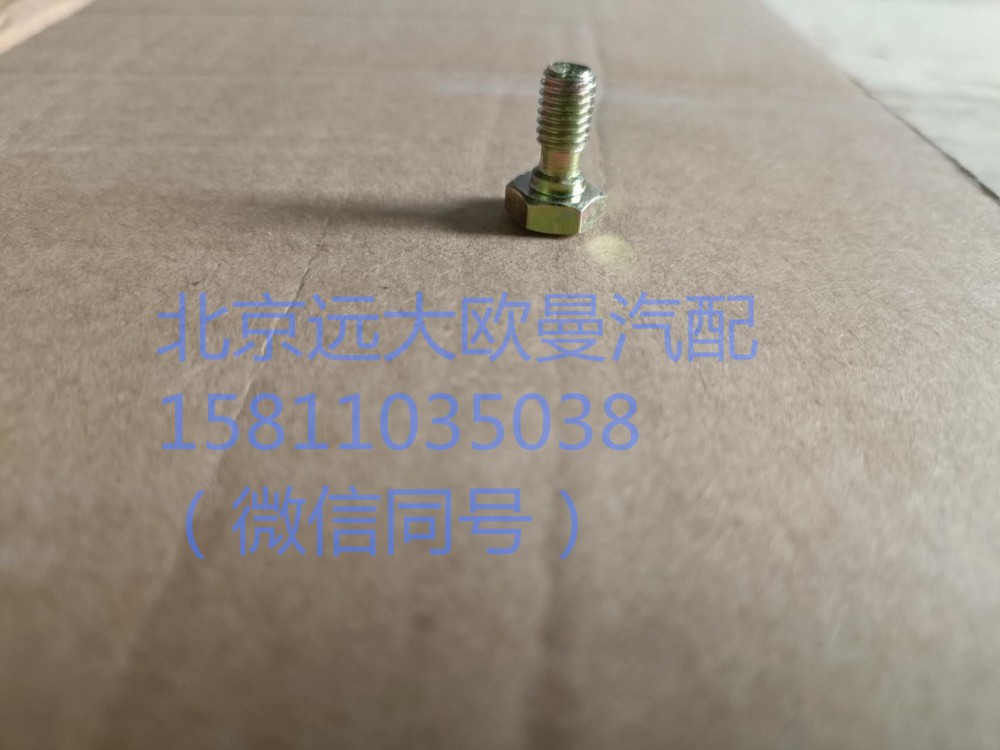 61500080090,噴油器空心螺栓,北京遠(yuǎn)大汽車配件有限公司