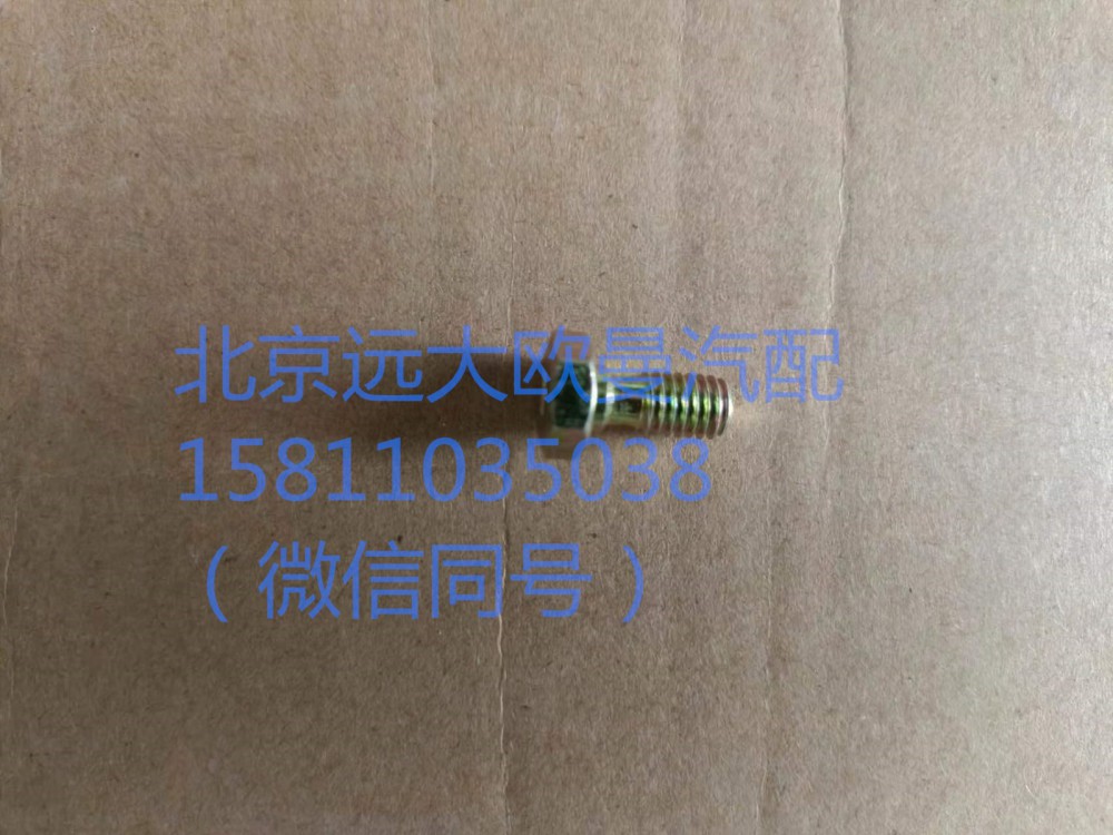 61500080090,噴油器空心螺栓,北京遠(yuǎn)大汽車配件有限公司