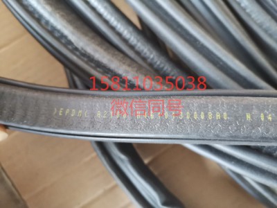 H4610130008A0,車門(mén)密封條GTL,北京遠(yuǎn)大汽車配件有限公司