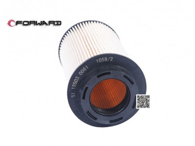 201V12503-0061   燃油濾清器芯 帶O形圈,Fuel filter core with O-ring,濟南向前汽車配件有限公司