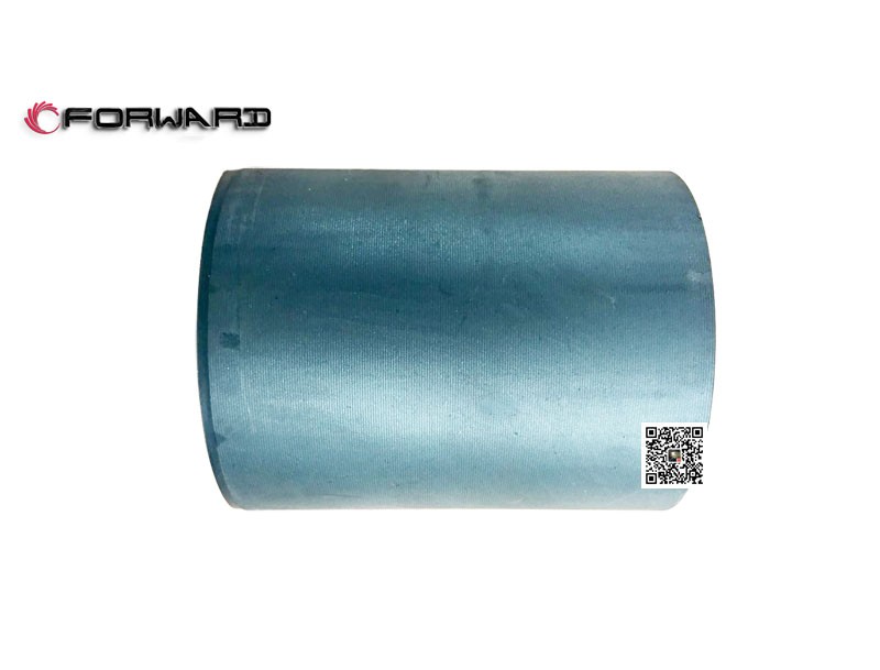 DS2730A17013  鞍座緩沖襯套,Saddle buffer bushing,濟(jì)南向前汽車(chē)配件有限公司