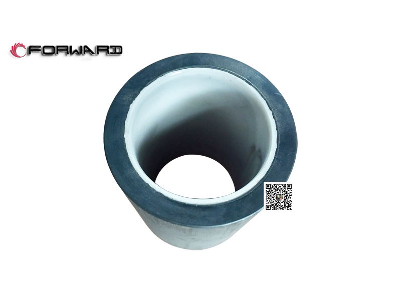 DS2730A17013  鞍座緩沖襯套,Saddle buffer bushing,濟(jì)南向前汽車(chē)配件有限公司