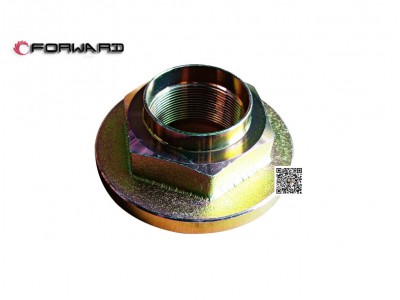 L903033300 輸出軸凸緣螺母,Output shaft flange nut,濟(jì)南向前汽車配件有限公司
