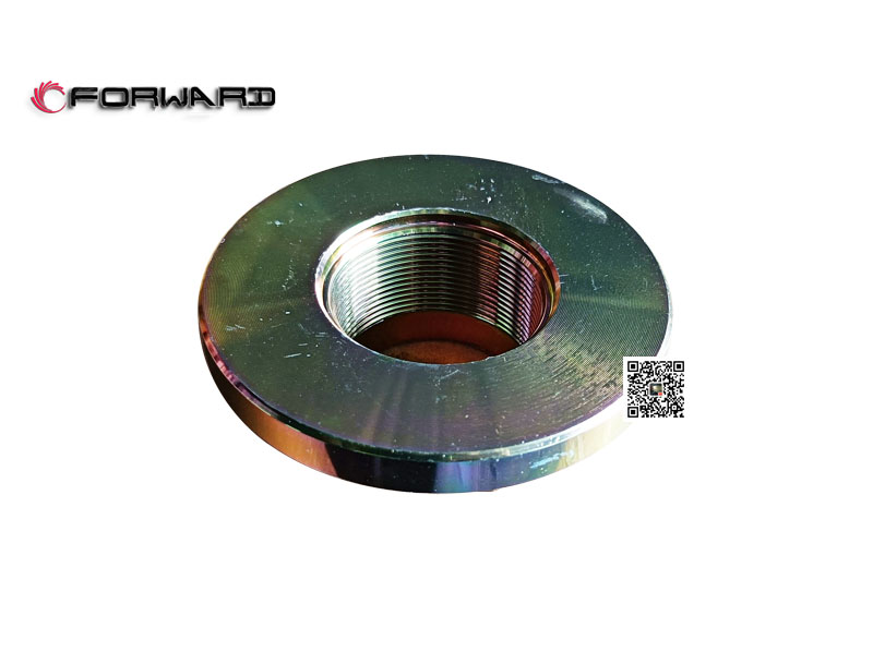 L903033300 輸出軸凸緣螺母,Output shaft flange nut,濟(jì)南向前汽車配件有限公司