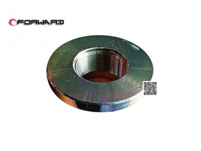L903033300 輸出軸凸緣螺母,Output shaft flange nut,濟(jì)南向前汽車配件有限公司