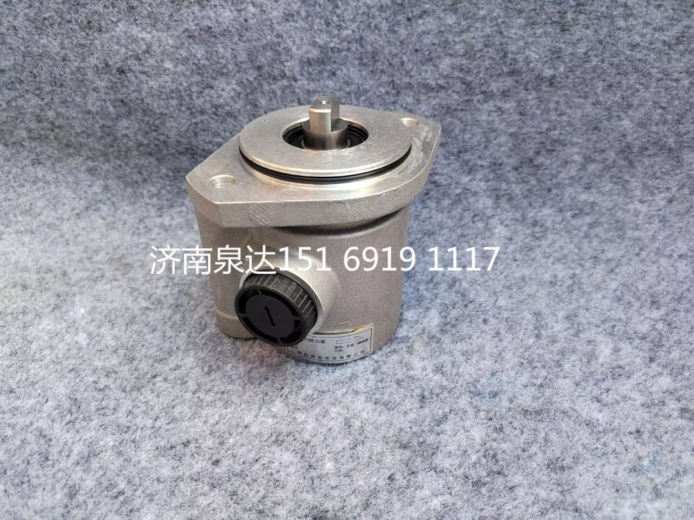 SYZ16-16,電動(dòng)液壓轉(zhuǎn)向助力泵總成,濟(jì)南泉達(dá)汽配有限公司