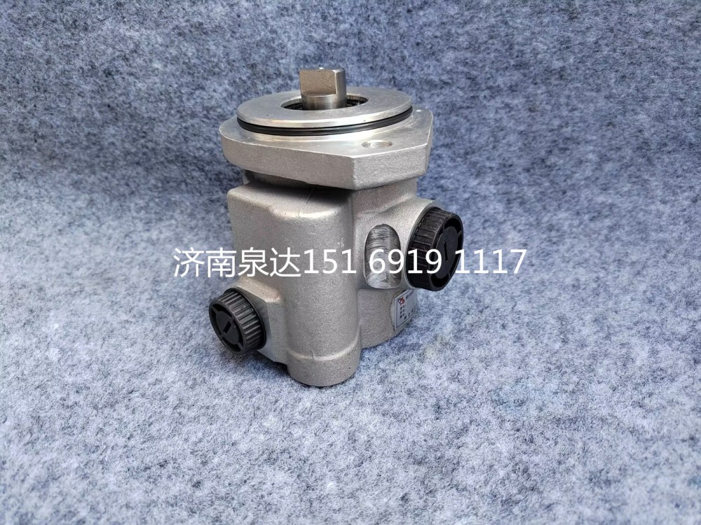 SYZ16-16,電動(dòng)液壓轉(zhuǎn)向助力泵總成,濟(jì)南泉達(dá)汽配有限公司