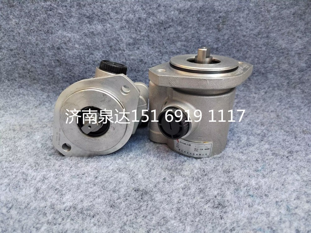 0002160016,電動(dòng)液壓轉(zhuǎn)向助力泵總成,濟(jì)南泉達(dá)汽配有限公司