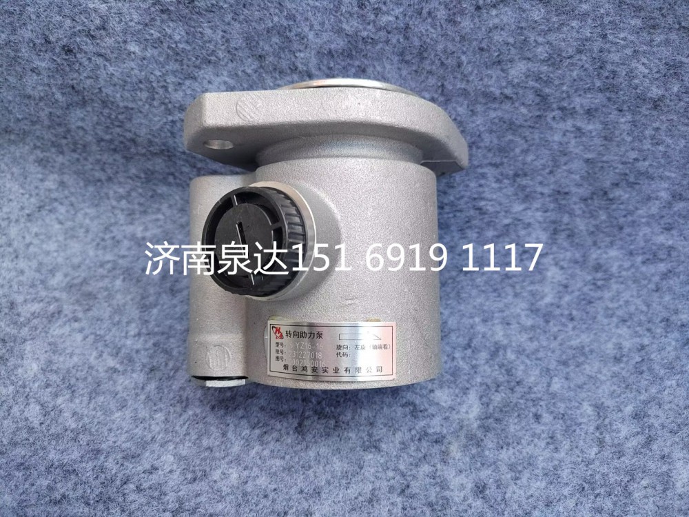0002160016,電動(dòng)液壓轉(zhuǎn)向助力泵總成,濟(jì)南泉達(dá)汽配有限公司