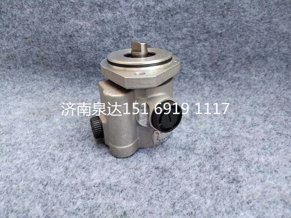 0002160016,電動(dòng)液壓轉(zhuǎn)向助力泵總成,濟(jì)南泉達(dá)汽配有限公司