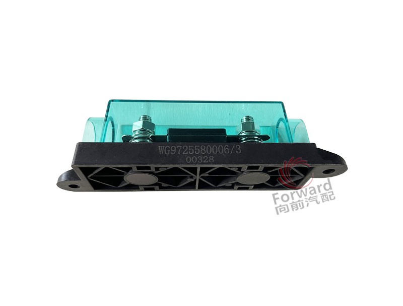WG9725580006  100A保險(xiǎn)裝置,100A safety device,濟(jì)南向前汽車配件有限公司