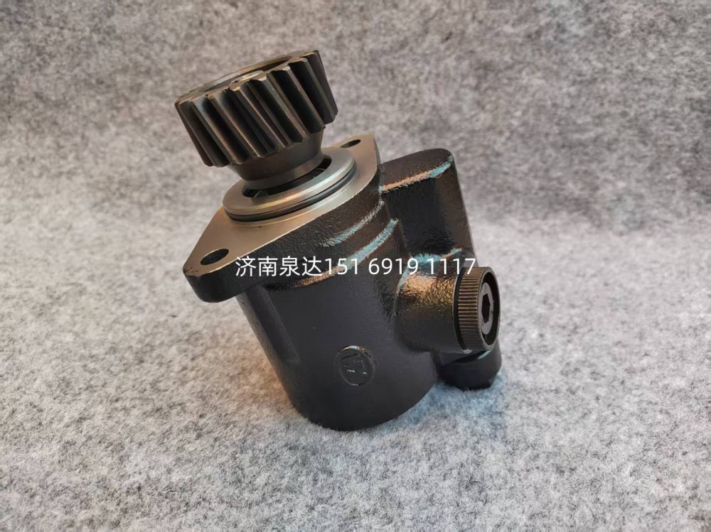 DZ91259470306,轉(zhuǎn)向葉片泵,濟(jì)南泉達(dá)汽配有限公司