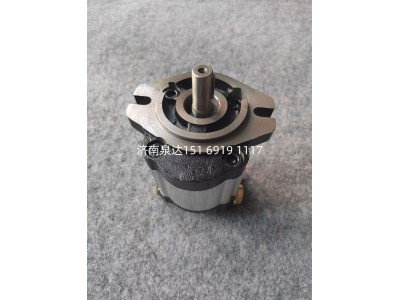 HLCB-D316,轉(zhuǎn)向助力泵,濟南泉達(dá)汽配有限公司