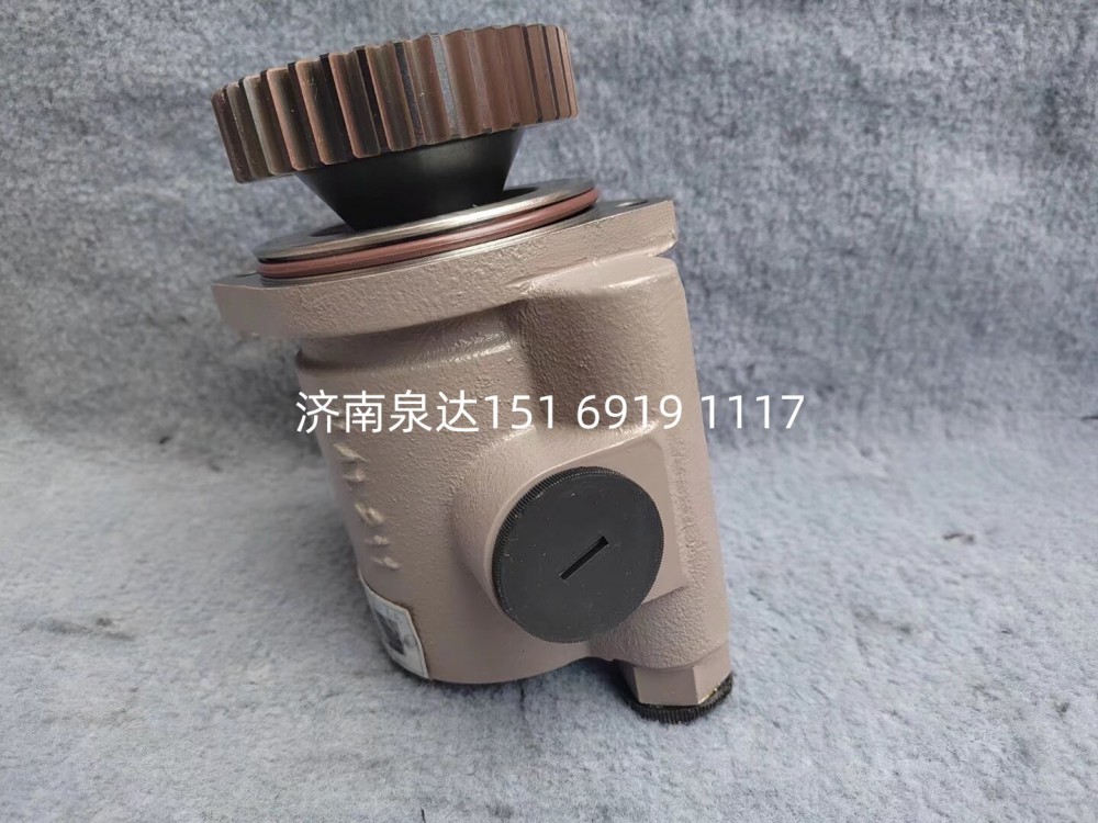 612600130062,轉(zhuǎn)向助力泵,濟(jì)南泉達(dá)汽配有限公司