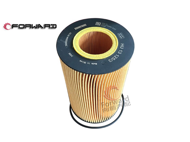 201V12503-0062  燃油濾芯-帶O型圈,Fuel filter element - with O-ring,濟(jì)南向前汽車配件有限公司