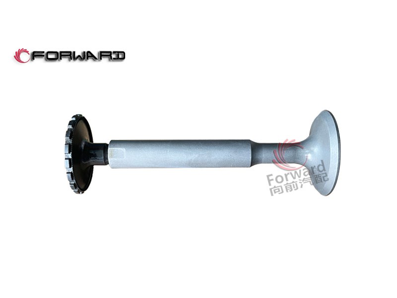 特種車(chē) 12V150ZL 動(dòng)力配氣系統(tǒng) 4.06.06  進(jìn)氣門(mén)/4.06.06  進(jìn)氣門(mén)