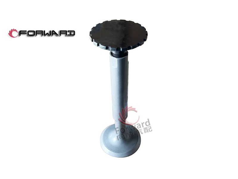 特種車(chē) 12V150ZL 動(dòng)力配氣系統(tǒng) 4.06.06  進(jìn)氣門(mén)/4.06.06  進(jìn)氣門(mén)