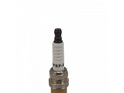 火炬 鉑金火花塞 ZT57-4 適配于LNG天然氣商用車發(fā)動機