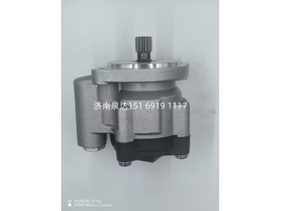 FZB12E11M1,轉(zhuǎn)向助力泵,濟(jì)南泉達(dá)汽配有限公司
