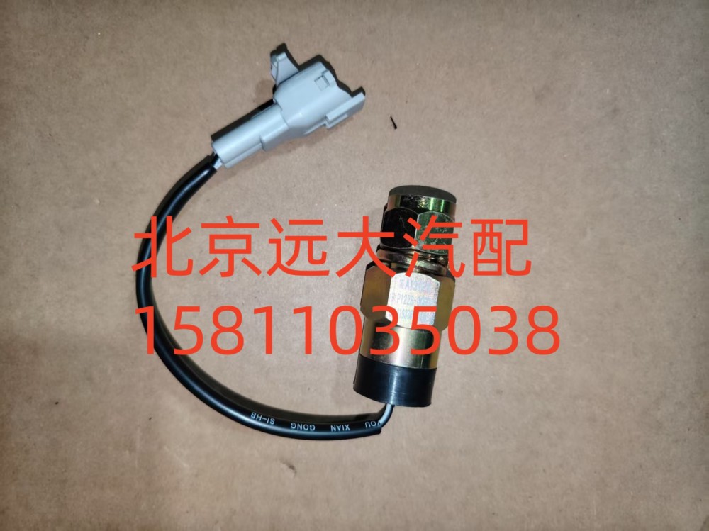 F1419336601001A1312,電動(dòng)舉升開(kāi)關(guān),北京遠(yuǎn)大汽車配件有限公司