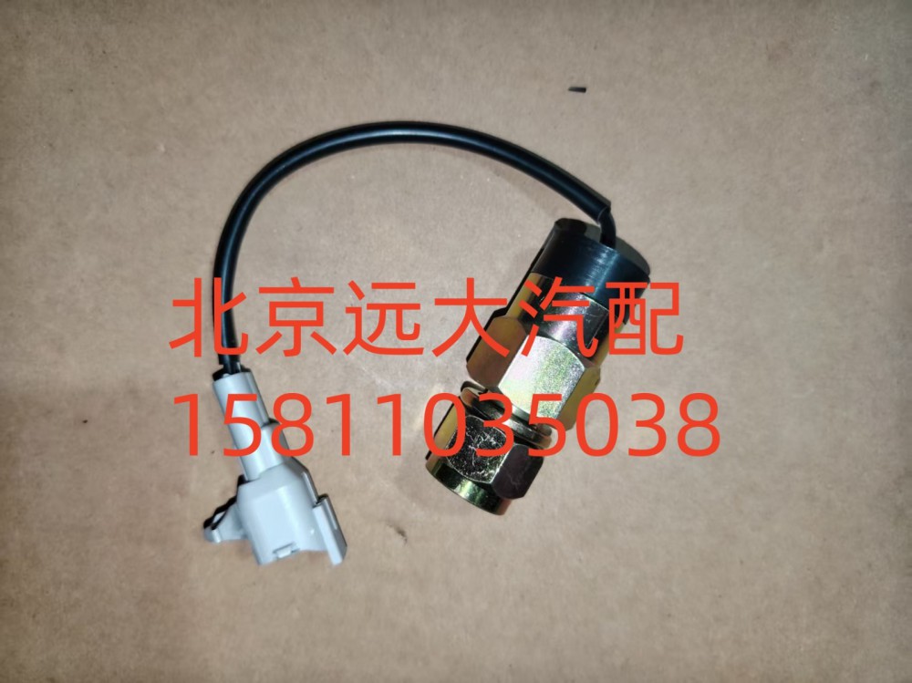 F1419336601001A1312,電動(dòng)舉升開(kāi)關(guān),北京遠(yuǎn)大汽車配件有限公司