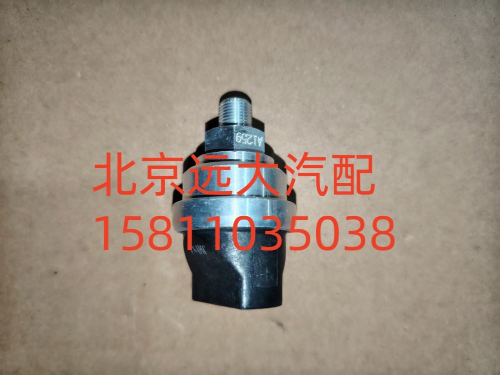 FH411900000316A1259,空濾器堵塞報(bào)警燈開關(guān),北京遠(yuǎn)大汽車配件有限公司