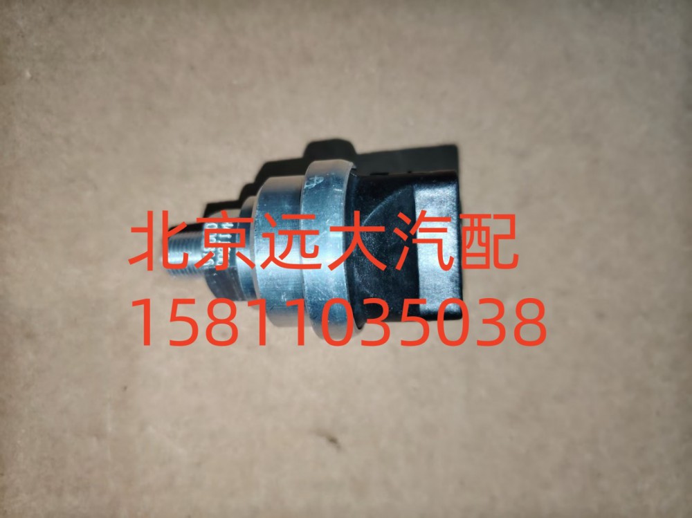 FH411900000316A1259,空濾器堵塞報(bào)警燈開關(guān),北京遠(yuǎn)大汽車配件有限公司