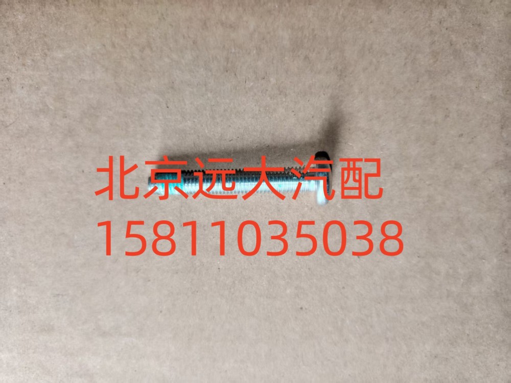S0736.300.659W0077,梅花螺栓,北京遠(yuǎn)大汽車配件有限公司