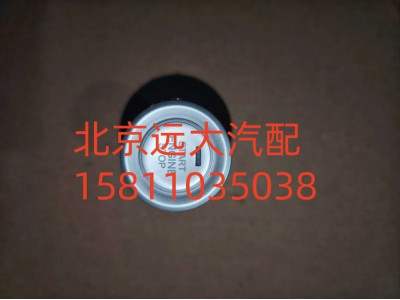 H637300000008A0737,一鍵啟動開關,北京遠大汽車配件有限公司