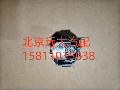 H637300000008A0737,一鍵啟動開關,北京遠大汽車配件有限公司