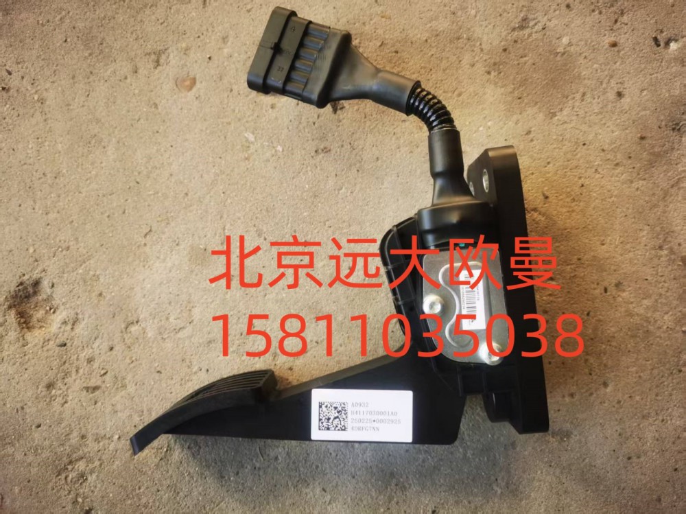 H4117030001A0A0932,油門踏板總成,北京遠(yuǎn)大汽車配件有限公司