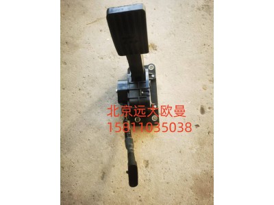 H4117030001A0A0932,油門踏板總成,北京遠(yuǎn)大汽車配件有限公司